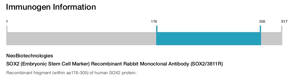 SOX2 (Embryonic Stem Cell Marker) Recombinant Rabbit Monoclonal Antibody (SOX2/3811R)