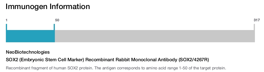 SOX2 (Embryonic Stem Cell Marker) Recombinant Rabbit Monoclonal Antibody (SOX2/4267R)