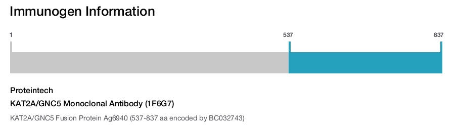 KAT2A/GNC5 Monoclonal Antibody (1F6G7)