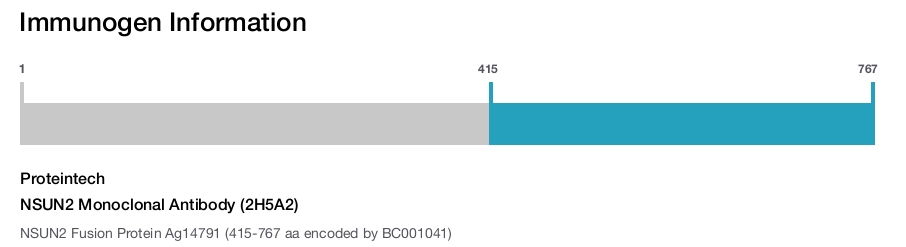 NSUN2 Monoclonal Antibody (2H5A2)