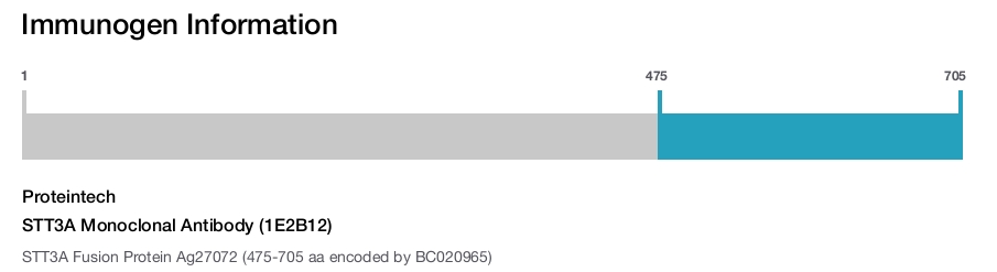 STT3A Monoclonal Antibody (1E2B12)