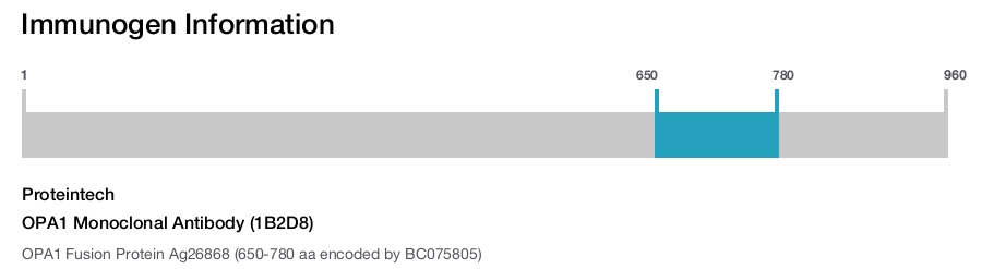 OPA1 Monoclonal Antibody (1B2D8)