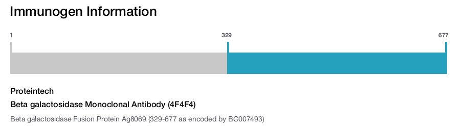 Beta galactosidase Monoclonal Antibody (4F4F4)