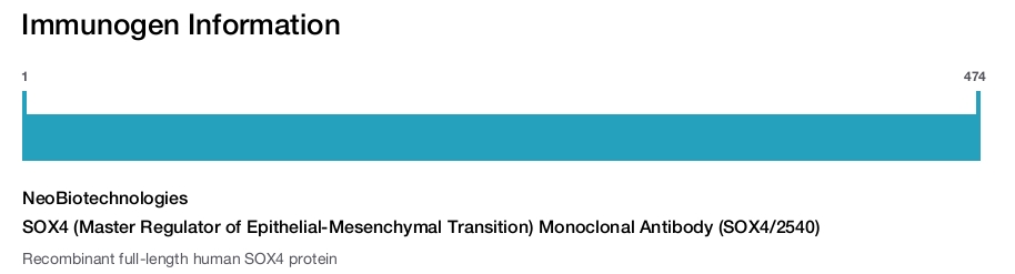 SOX4 (Master Regulator of Epithelial-Mesenchymal Transition) Monoclonal Antibody (SOX4/2540)