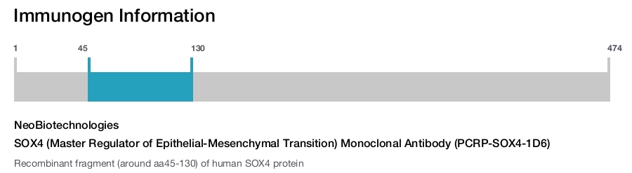 SOX4 (Master Regulator of Epithelial-Mesenchymal Transition) Monoclonal Antibody (PCRP-SOX4-1D6)