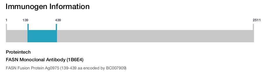 FASN Monoclonal Antibody (1B6E4)