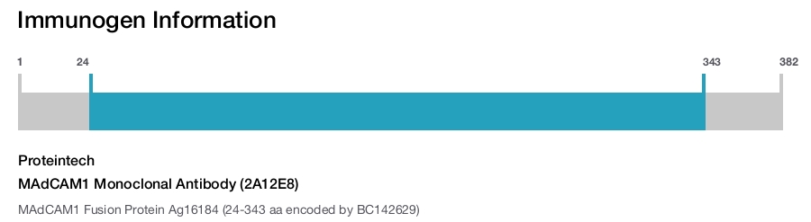 MAdCAM1 Monoclonal Antibody (2A12E8)