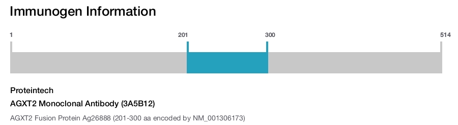 AGXT2 Monoclonal Antibody (3A5B12)