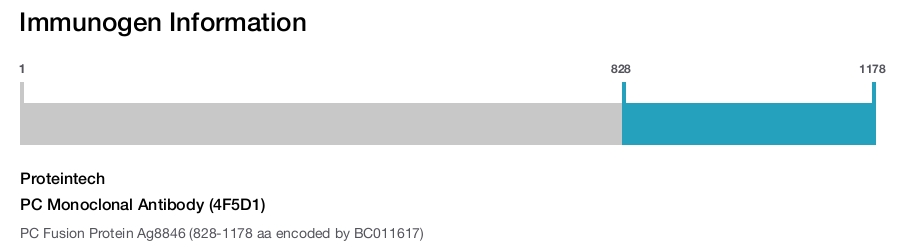 PC Monoclonal Antibody (4F5D1)