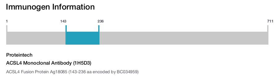 ACSL4 Monoclonal Antibody (1H5D3)
