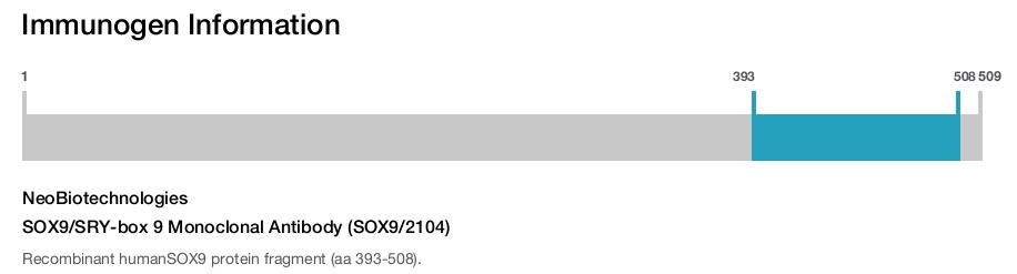 SOX9/SRY-box 9 Monoclonal Antibody (SOX9/2104)