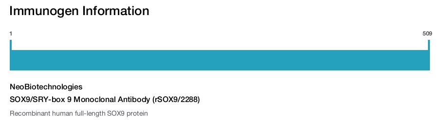 SOX9/SRY-box 9 Monoclonal Antibody (rSOX9/2288)