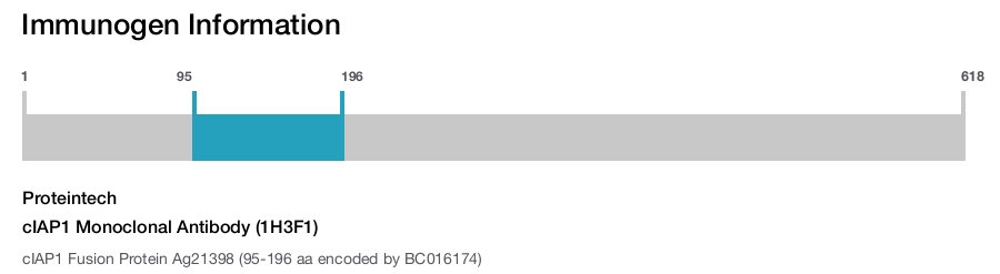 cIAP1 Monoclonal Antibody (1H3F1)