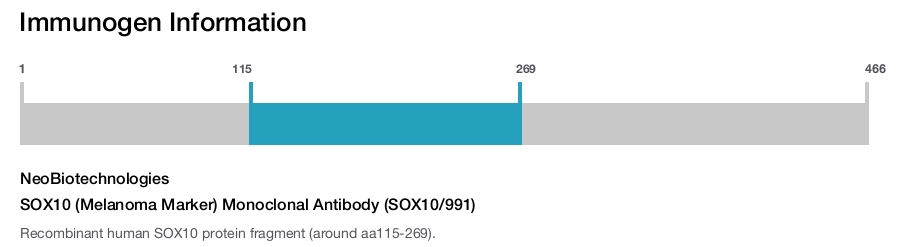 SOX10 (Melanoma Marker) Monoclonal Antibody (SOX10/991)