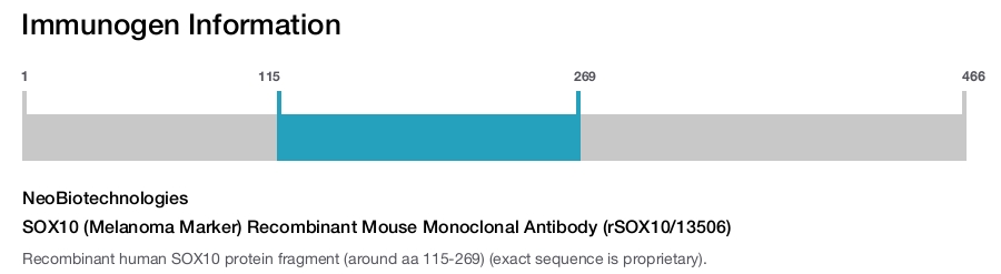 SOX10 (Melanoma Marker) Recombinant Mouse Monoclonal Antibody (rSOX10/13506)