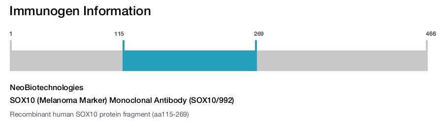 SOX10 (Melanoma Marker) Monoclonal Antibody (SOX10/992)