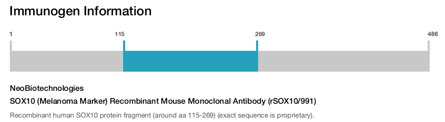 SOX10 (Melanoma Marker) Recombinant Mouse Monoclonal Antibody (rSOX10/991)