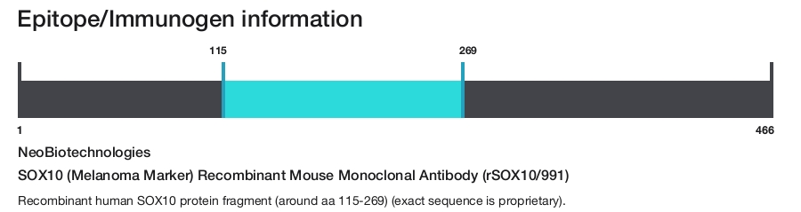 SOX10 (Melanoma Marker) Recombinant Mouse Monoclonal Antibody (rSOX10/991)