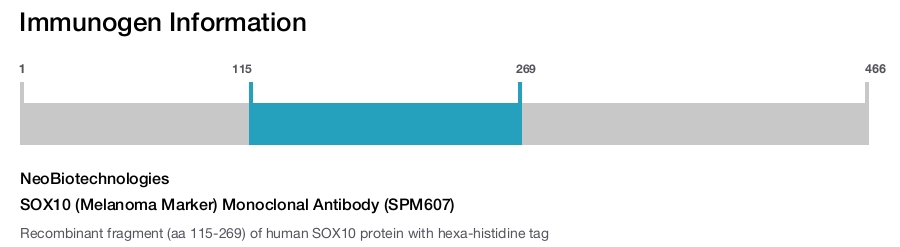 SOX10 (Melanoma Marker) Monoclonal Antibody (SPM607)