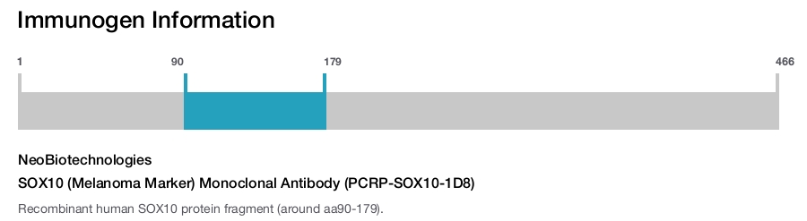 SOX10 (Melanoma Marker) Monoclonal Antibody (PCRP-SOX10-1D8)