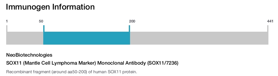 SOX11 (Mantle Cell Lymphoma Marker) Monoclonal Antibody (SOX11/7236)