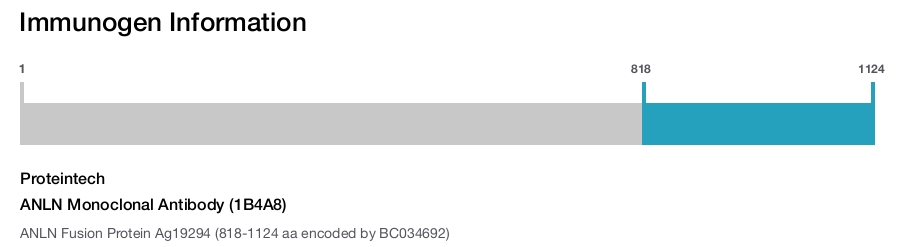 ANLN Monoclonal Antibody (1B4A8)