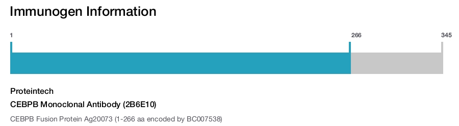 CEBPB Monoclonal Antibody (2B6E10)