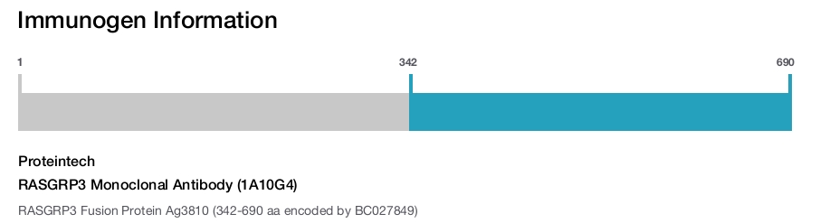 RASGRP3 Monoclonal Antibody (1A10G4)