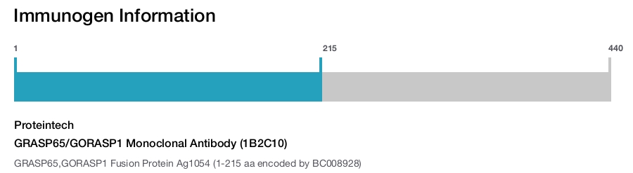 GRASP65/GORASP1 Monoclonal Antibody (1B2C10)