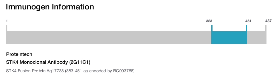 STK4 Monoclonal Antibody (2G11C1)