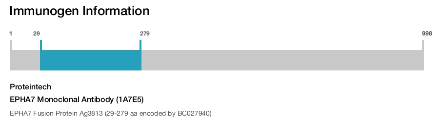 EPHA7 Monoclonal Antibody (1A7E5)
