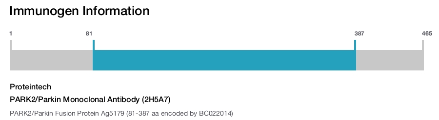 PARK2/Parkin Monoclonal Antibody (2H5A7)