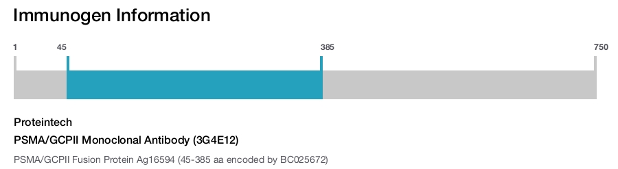 PSMA/GCPII Monoclonal Antibody (3G4E12)