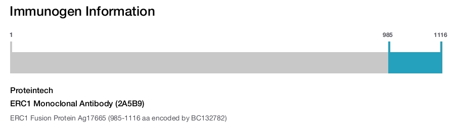 ERC1 Monoclonal Antibody (2A5B9)