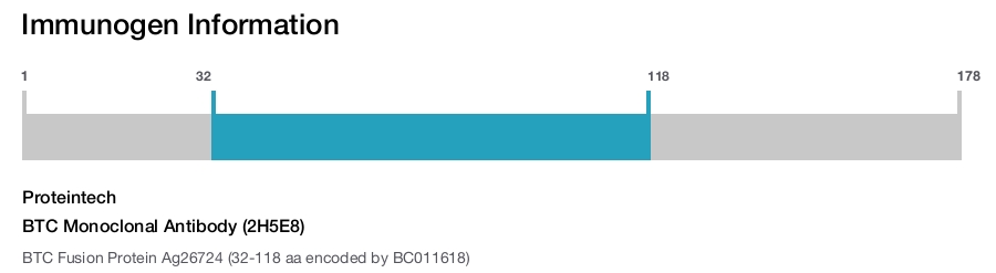 BTC Monoclonal Antibody (2H5E8)
