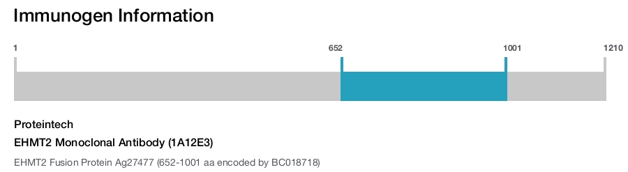 EHMT2 Monoclonal Antibody (1A12E3)
