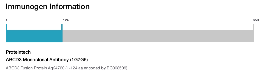 ABCD3 Monoclonal Antibody (1G7G5)