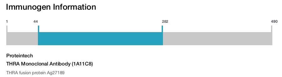 THRA Monoclonal Antibody (1A11C8)