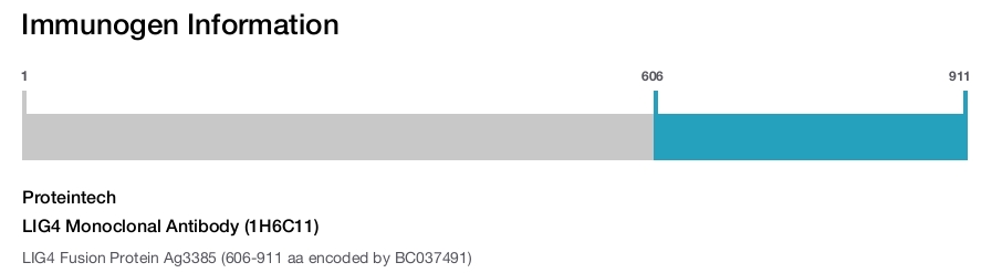 LIG4 Monoclonal Antibody (1H6C11)