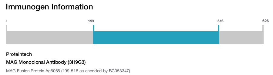 MAG Monoclonal Antibody (3H9G3)