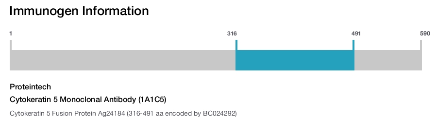 Cytokeratin 5 Monoclonal Antibody (1A1C5)