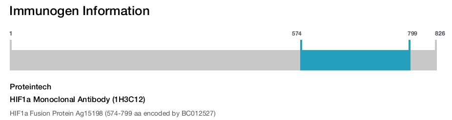 HIF1a Monoclonal Antibody (1H3C12)