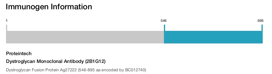 Dystroglycan Monoclonal Antibody (2B1G12)