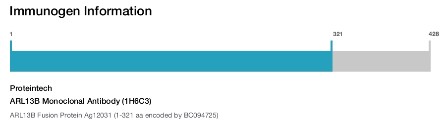 ARL13B Monoclonal Antibody (1H6C3)