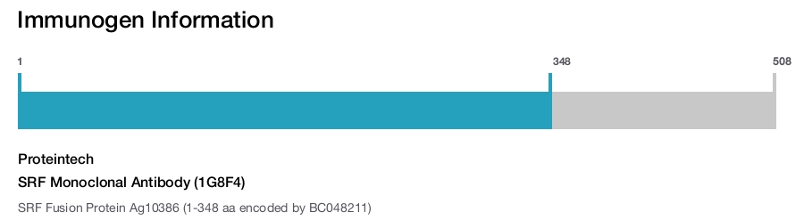 SRF Monoclonal Antibody (1G8F4)