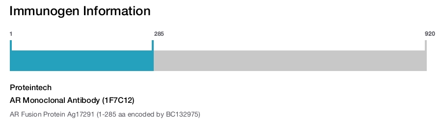 AR Monoclonal Antibody (1F7C12)