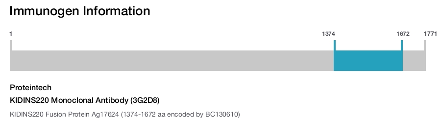 KIDINS220 Monoclonal Antibody (3G2D8)