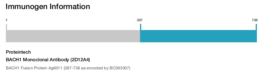 BACH1 Monoclonal Antibody (2D12A4)