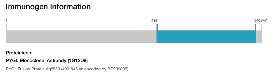 PYGL Monoclonal Antibody (1G12D8)