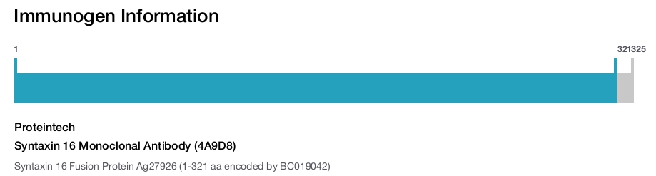 Syntaxin 16 Monoclonal Antibody (4A9D8)